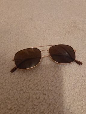 Aviator Sunglasses in Brown with Gold Frame